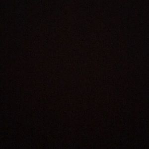 Meet your Posher, Shaina